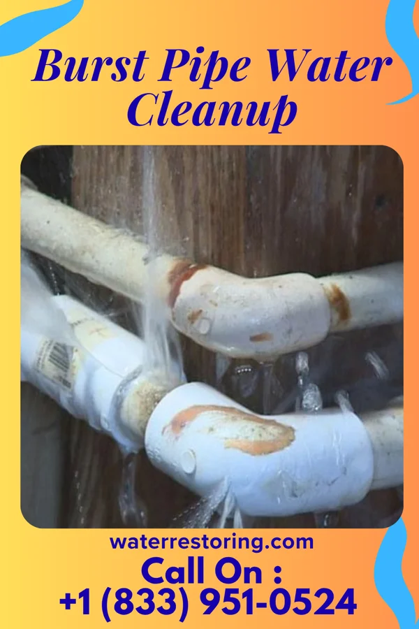 Burst Pipe Water Cleanup in Pollock, MO
