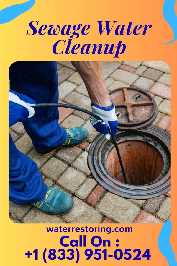 Sewage Water Cleanup in Pollock, MO
